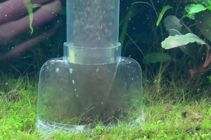 Vacuuming a Fish Tank
